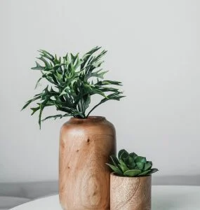 Wooden Greenery